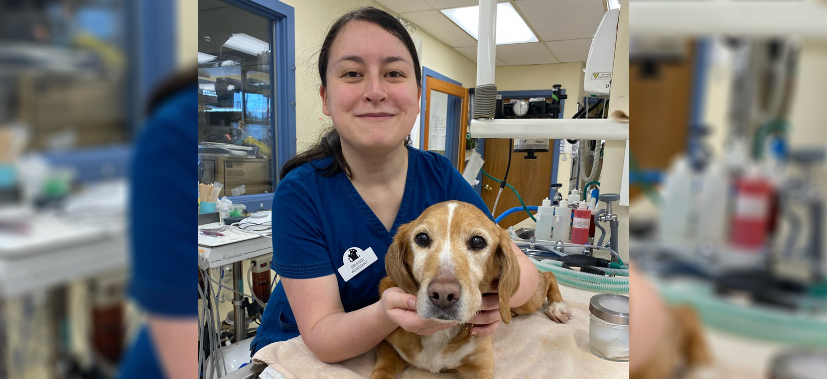 Fair Isle Animal Clinic - Veterinarian in Vashon, WA US